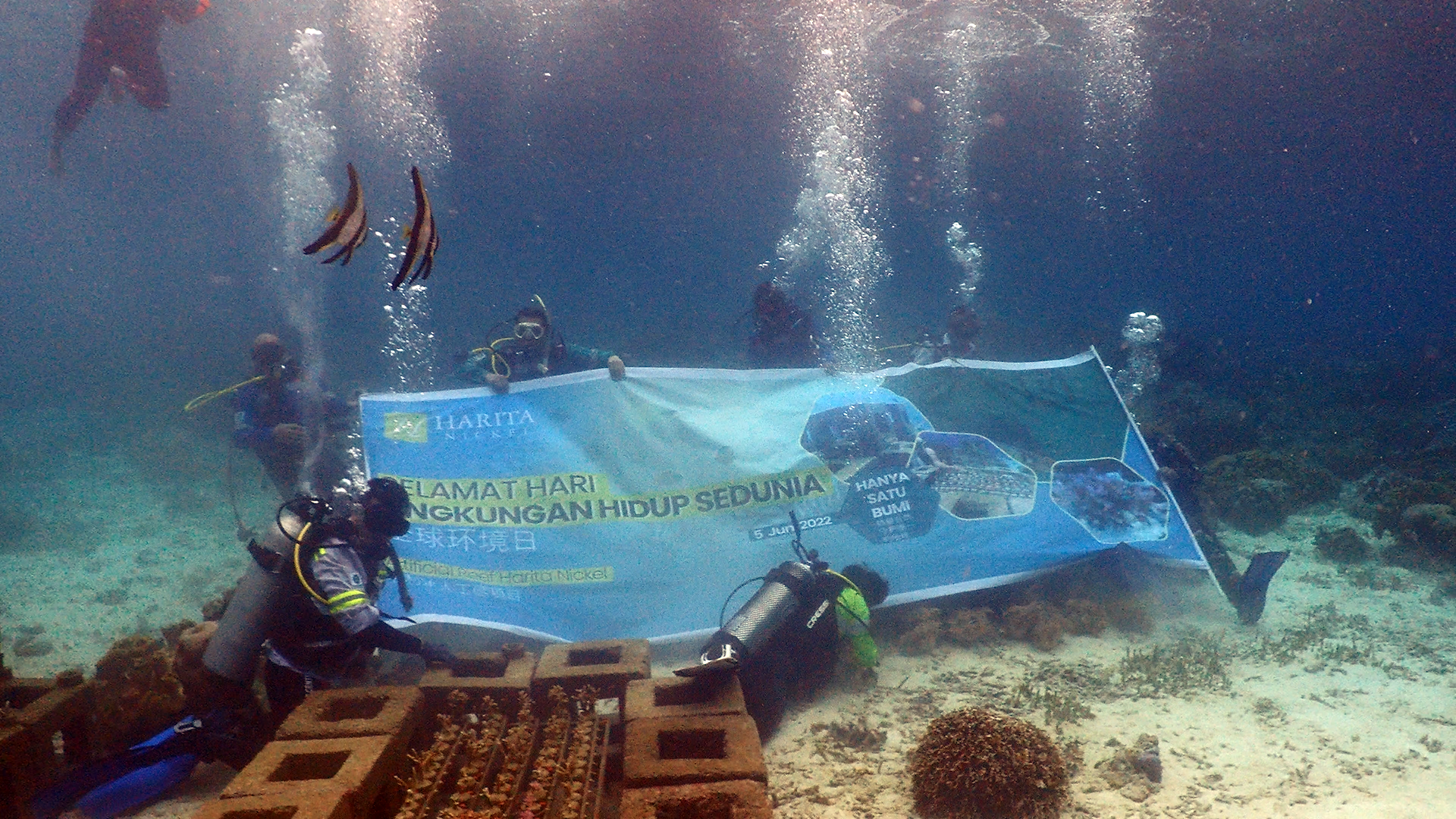 Transplantasi terumbu karang hlh 4bu 2